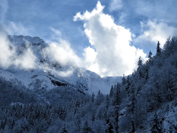 Sneeuw en de berg — Stockfoto