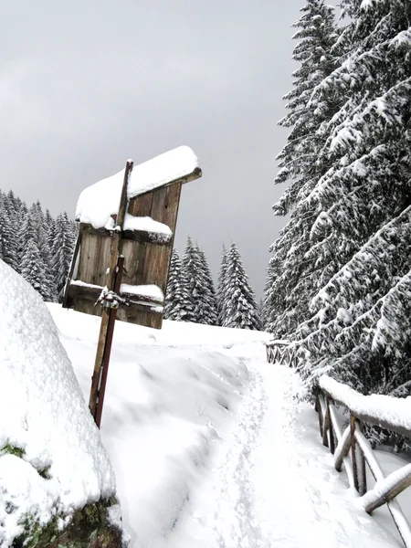 Śnieg i góry — Zdjęcie stockowe