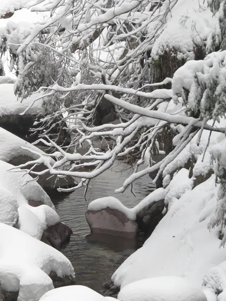 Nieve y montaña —  Fotos de Stock