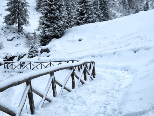 Sneeuw en de berg — Stockfoto