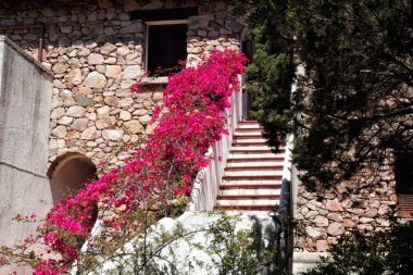 çiçek evi