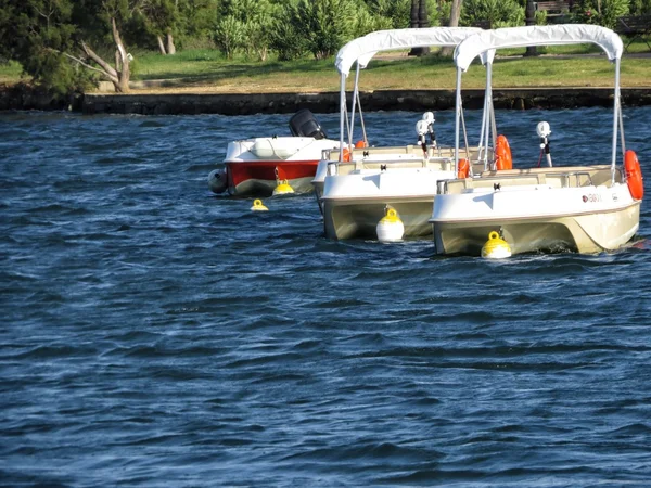 Water sport — Stock Photo, Image