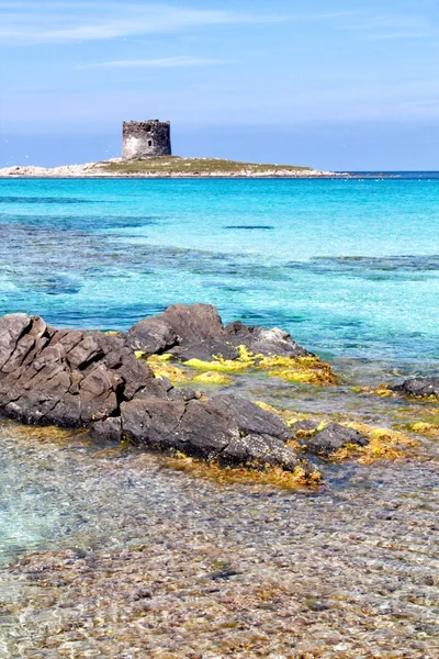 Stintino beach — Stok fotoğraf