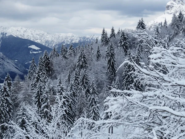 Schnee und Berge — Stockfoto