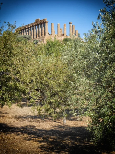 Ruinas griegas , —  Fotos de Stock