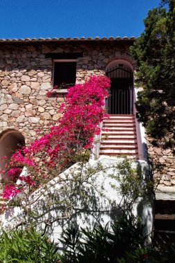 çiçek evi
