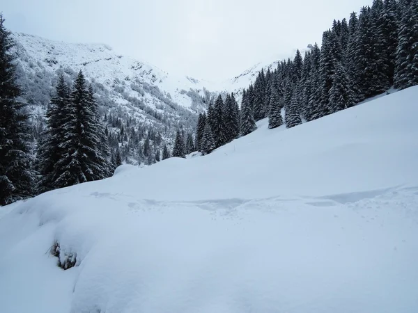 Снег и горы — стоковое фото
