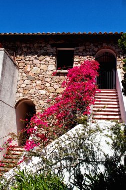 çiçek evi