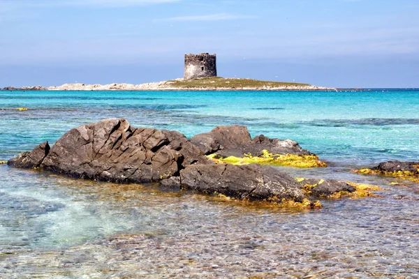 Stintino beach — Stock Photo, Image