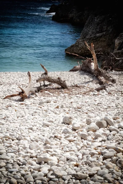 Dafnoudi strand — Stockfoto