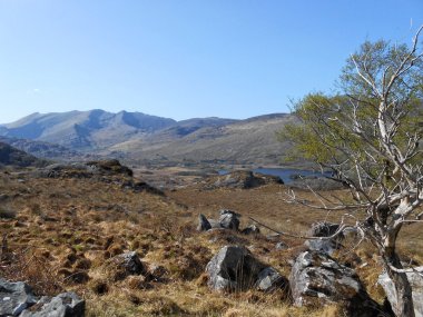 Killarney Milli Parkı