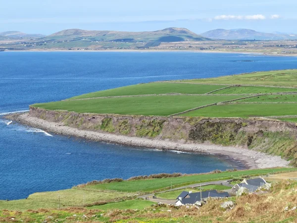 Ring av körsbär, ireland — Stockfoto