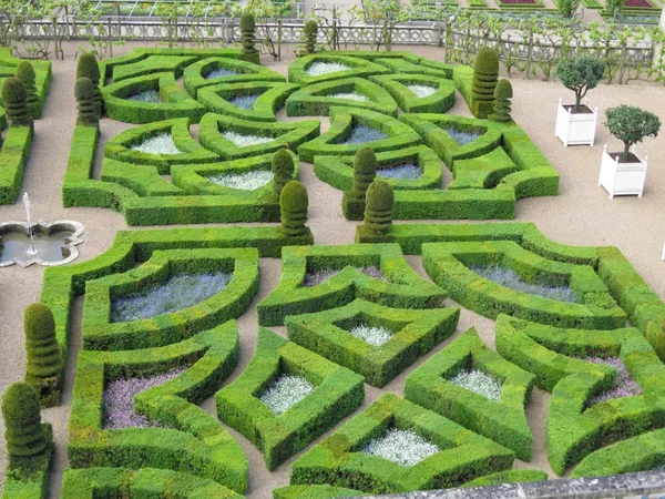 Grünes Labyrinth — Stockfoto