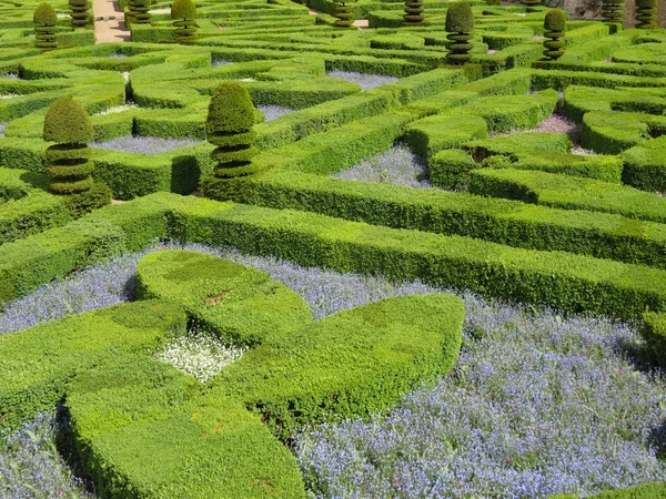 Labirinto verde — Foto Stock