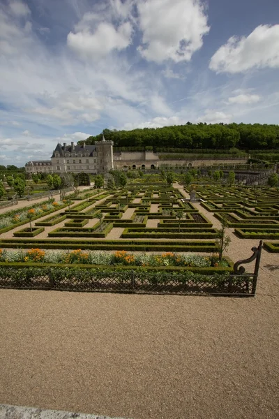 Green labyrinth — Stock Photo, Image