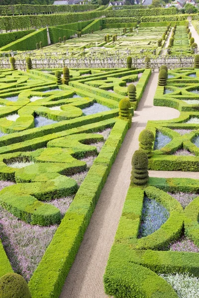 Grünes Labyrinth — Stockfoto