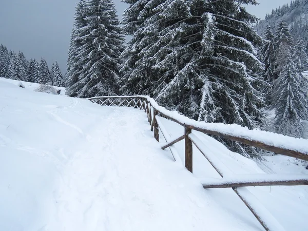 Sneeuw en de berg — Stockfoto