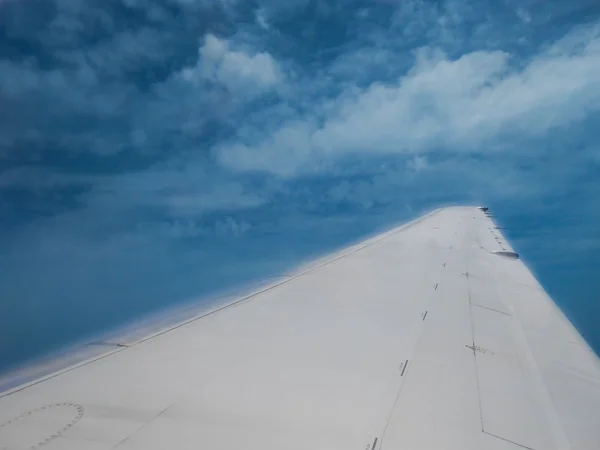 Fly and cloud — Stock Photo, Image