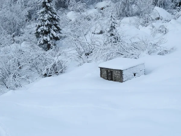 Neve e montanha — Fotografia de Stock