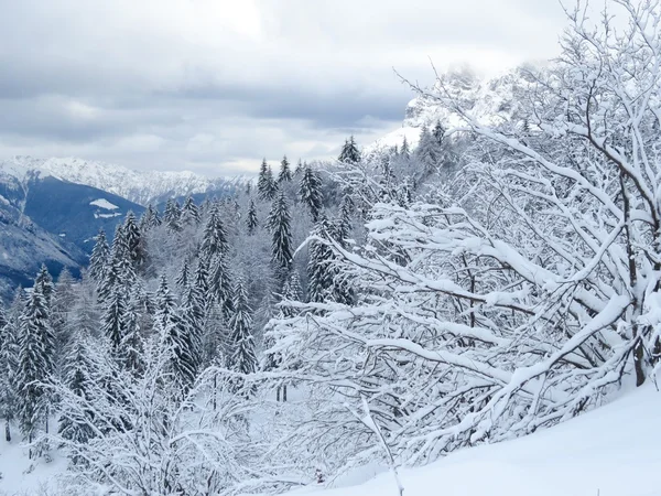 Sneeuw en de berg — Stockfoto