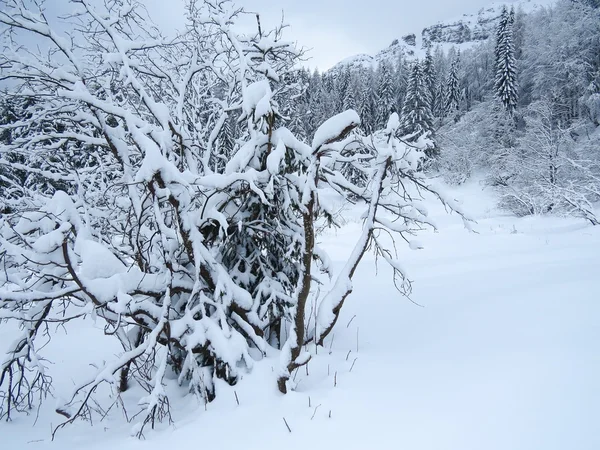 雪和山 — 图库照片