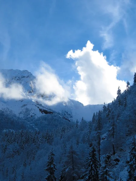 雪と山 — ストック写真