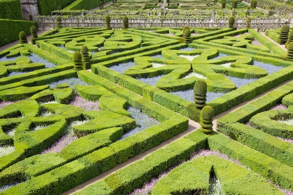 Grünes Labyrinth — Stockfoto