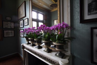 Chenonceau Kalesi