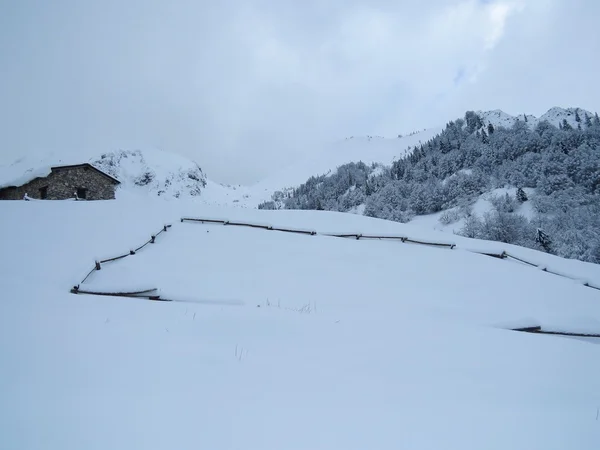 Sneeuw en de berg — Stockfoto