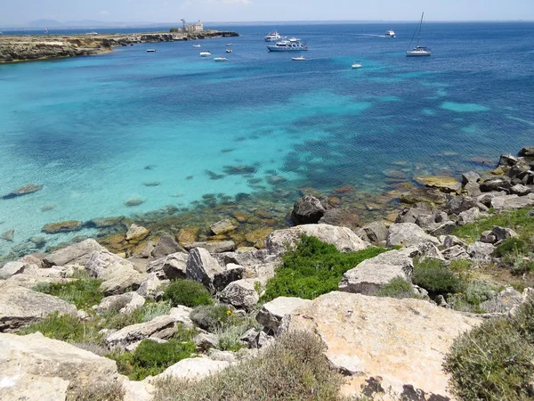 Favignana beach