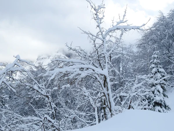 雪和山 — 图库照片
