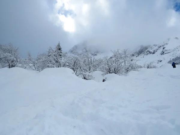 Sneeuw en de berg — Stockfoto