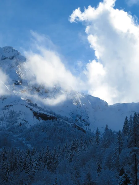 雪と山 — ストック写真