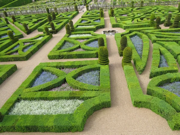 Vista di un labirinto verde — Foto Stock