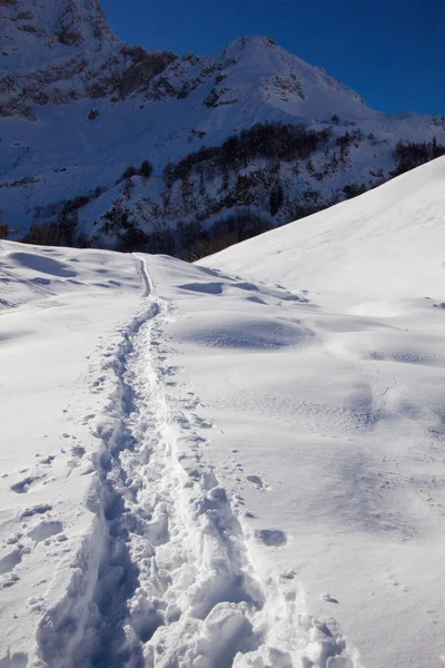 Snow and mountain — Stock Photo, Image