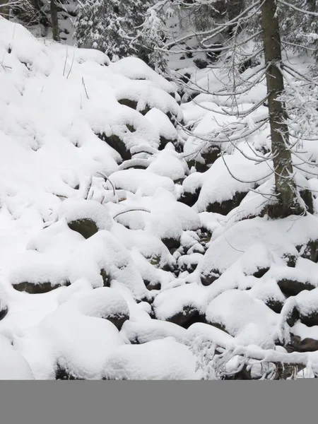 Nieve y montaña —  Fotos de Stock