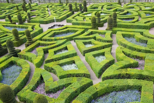 Un labirinto verde — Foto Stock