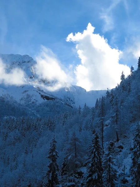 Снег и горы — стоковое фото