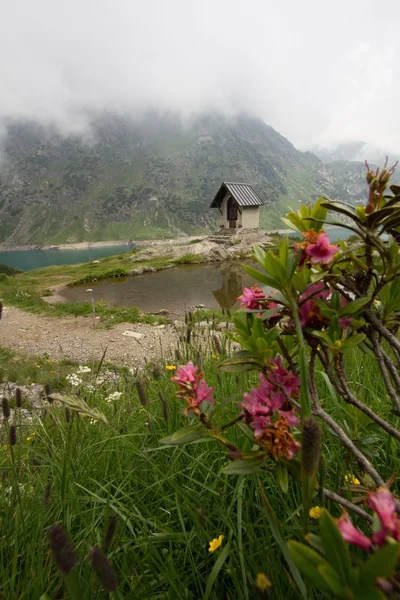 Une vue montagne — Photo