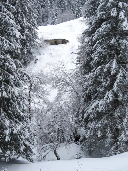 Zăpadă și munte — Fotografie, imagine de stoc