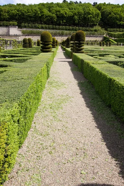 Un labirinto verde — Foto Stock