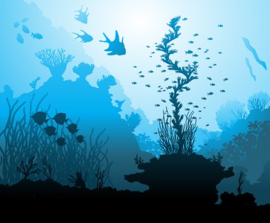 Okyanus sualtı dünyasını farklı hayvanlarla