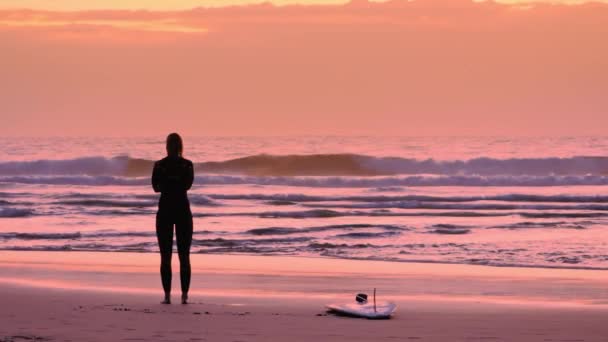 Surfařka silueta se svým surfařem podél večerní pláže — Stock video