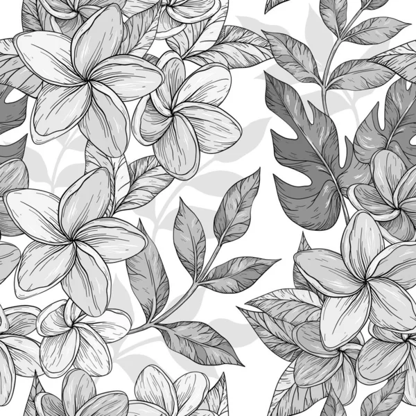 Fondo monocromo sin costuras de flores frangipani, plumeria flor tropical — Archivo Imágenes Vectoriales