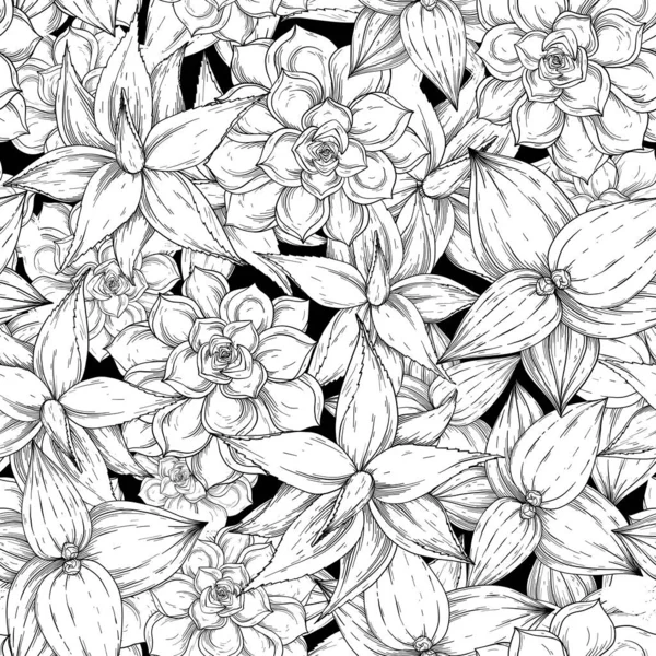 Sömlöst mönster med aloe, kaktus, Foliage och gren. Blommig illustration. Svart och vitt — Stock vektor