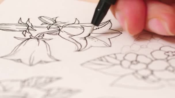 Female artist draws a composition of flowers — Αρχείο Βίντεο