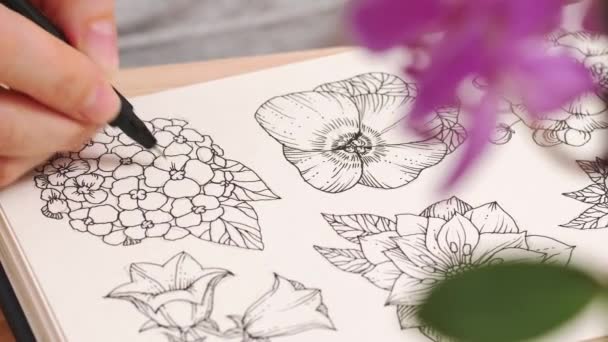 L'artista femminile disegna una composizione di fiori selvatici in un libro di schizzi su un tavolo — Video Stock