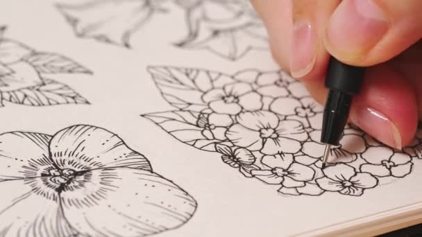 Художница рисует цветы в альбоме эскизов. Рисунок, — стоковое видео