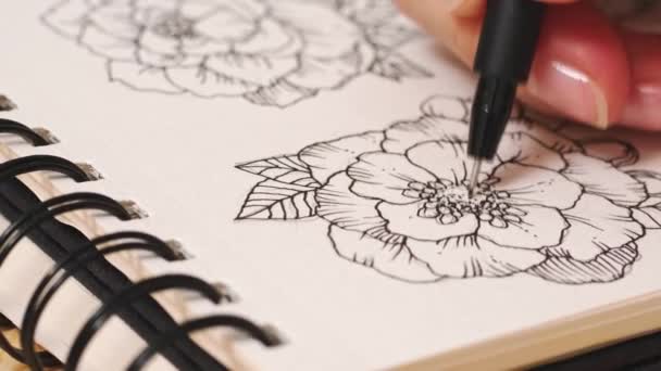 Une artiste féminine dessine des fleurs dans un carnet de croquis. Sketch art, inspiration d'artiste — Video