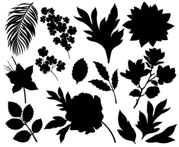 Collection de silhouettes de fleurs et feuilles isolées sur fond blanc — Image vectorielle